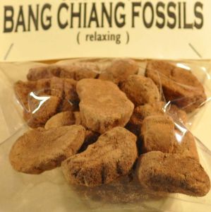  Bang Chiang Fossils, entspannend, 25 gr