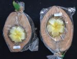 Kokosnuss - Kerze mit Frangipani - Blüte